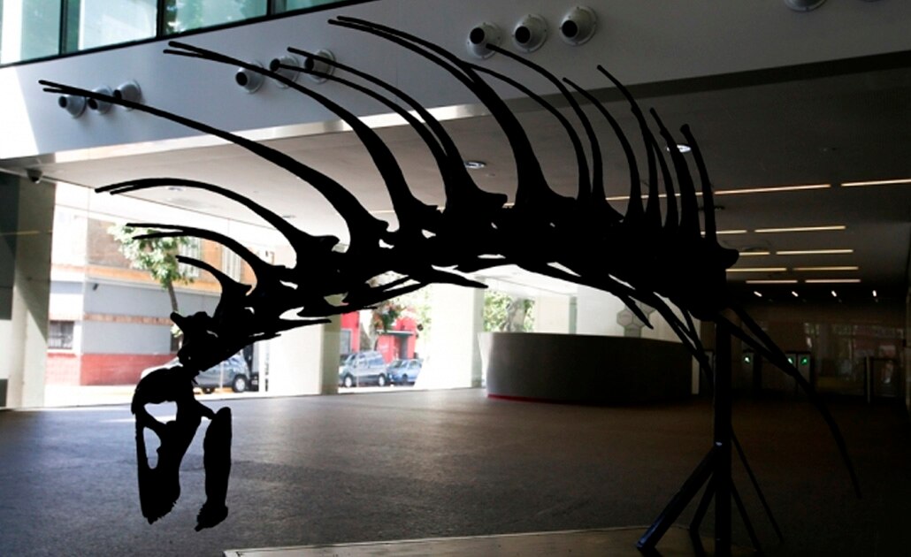 Foto: Reuters | El Universal