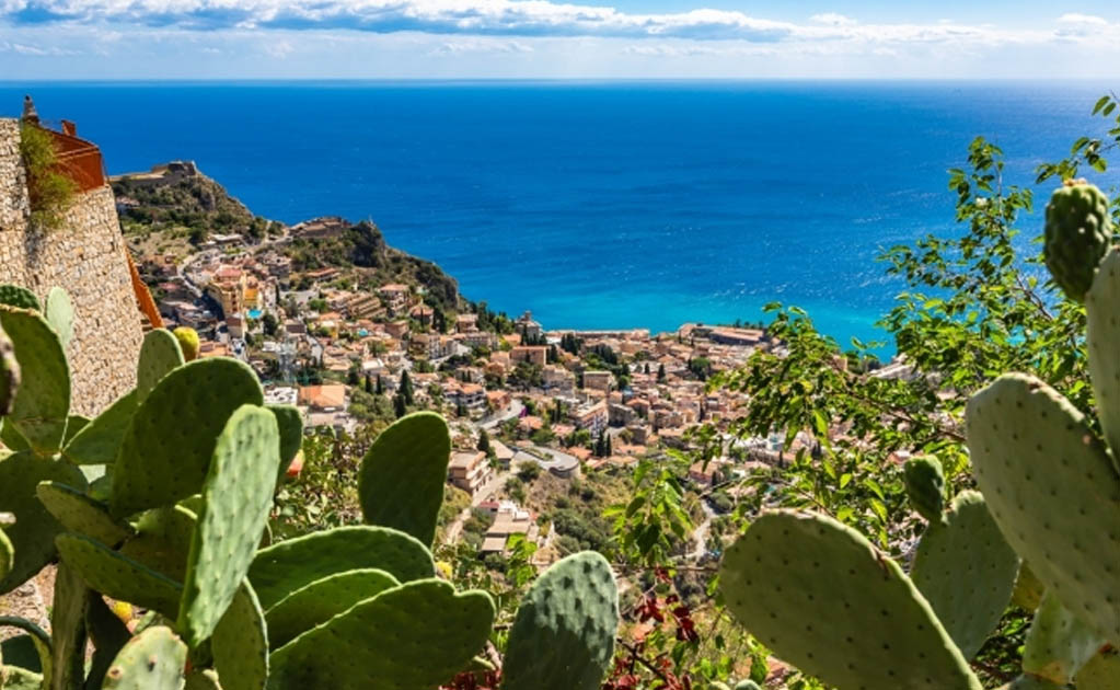 El nopal llego hace aproximadamente 500 años a Europa y en Italia se le conoce como opuntia. Foto: iStock