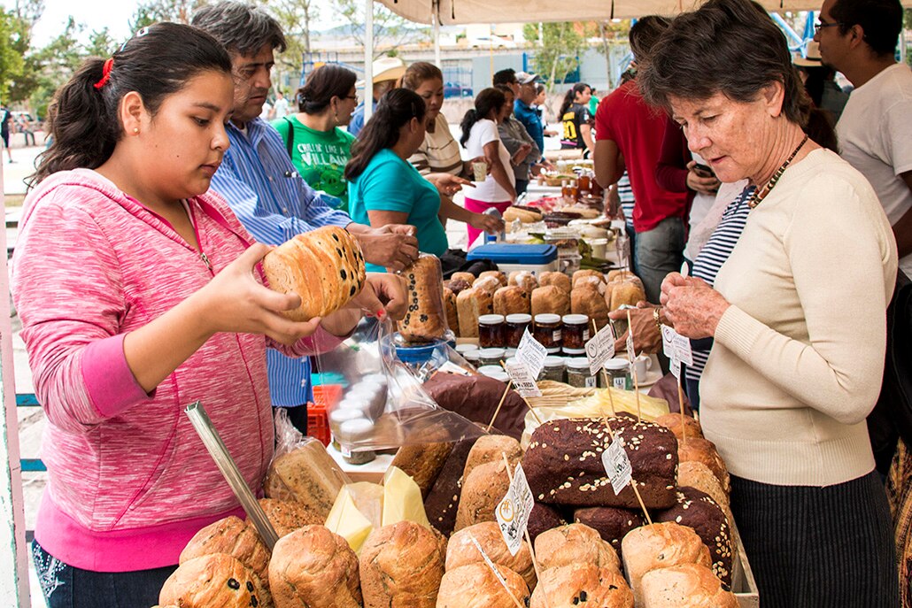 Regresa mercado de productos orgánicos de la UASLP 