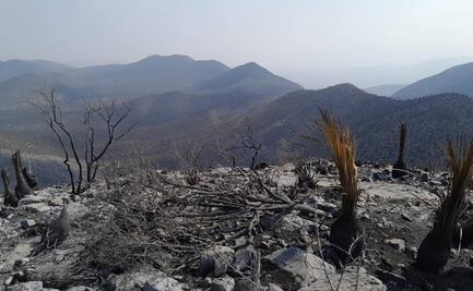 Ricardo Gallardo da informe sobre incendios activos en SLP; fuego de Tamasopo fue controlado