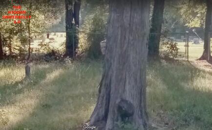 Descubren supuesto fantasma en Google Maps