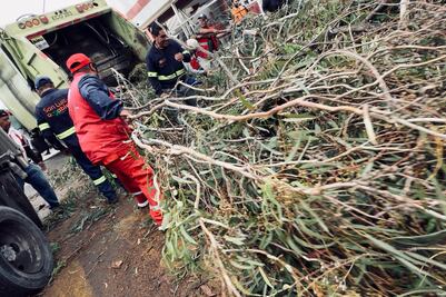 Tras tromba, capital de San Luis restablece servicios y libera vialidades en 20 puntos críticos  