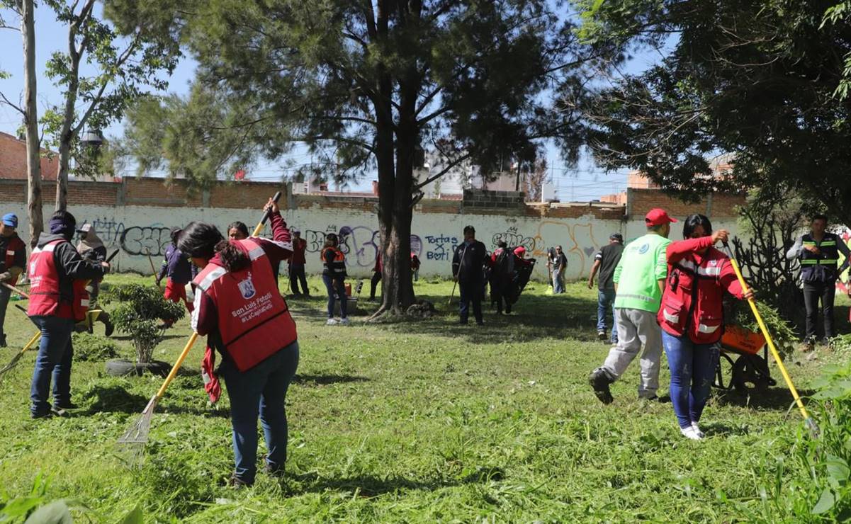 Rehabilitan jardín principal de Valle de Jacarandas con labores de limpieza y alumbrado
