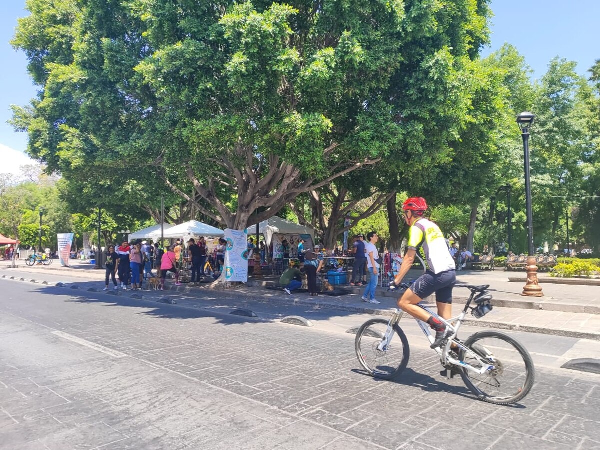 A pesar de multas, ciclovía de avenida Carranza sigue sin respetarse en SLP