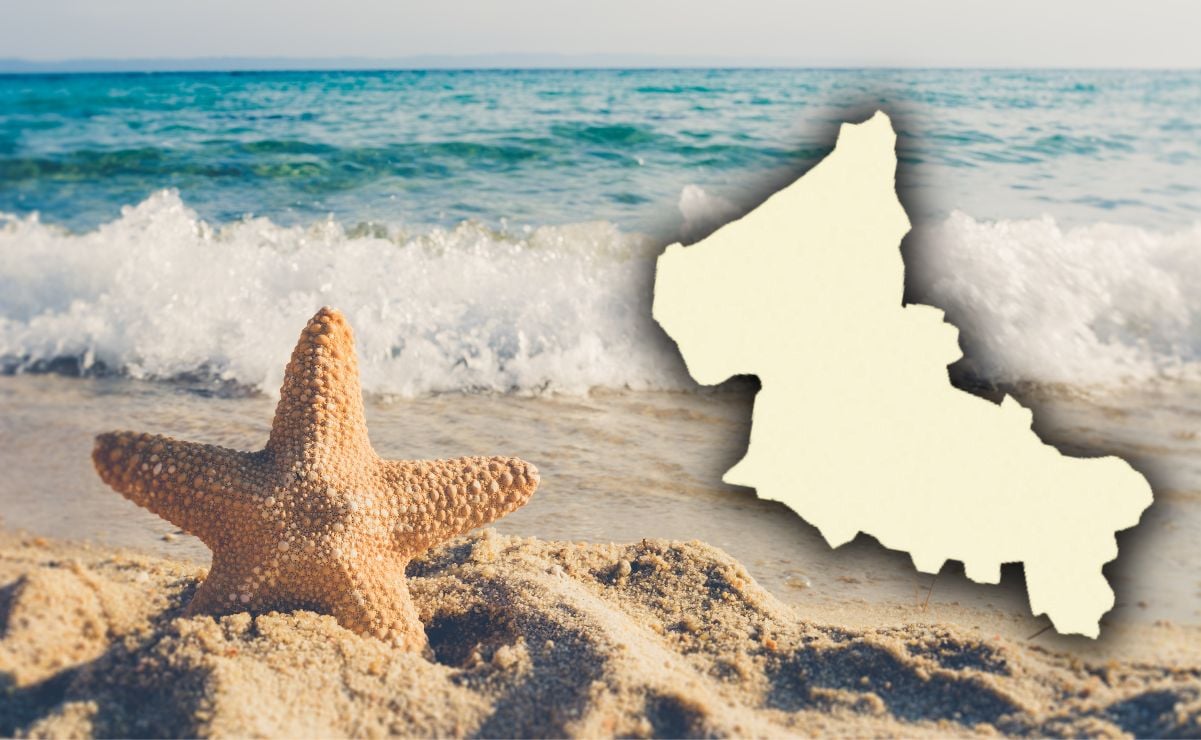 “Para la arena vamos a exportar alrededor de 300 toneladas de arena de Cancún", afirmó Gallardo. Foto: Archivo