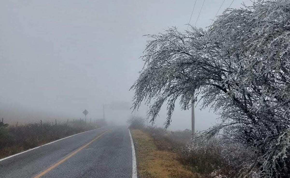 Frente frío 24 traerá heladas y temperaturas de menos 10 grados en SLP, pronostica Conagua