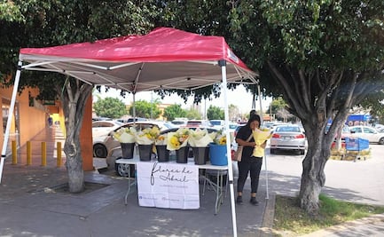Flores amarillas inundan las redes sociales y llegan a las calles de SLP este 21 de septiembre