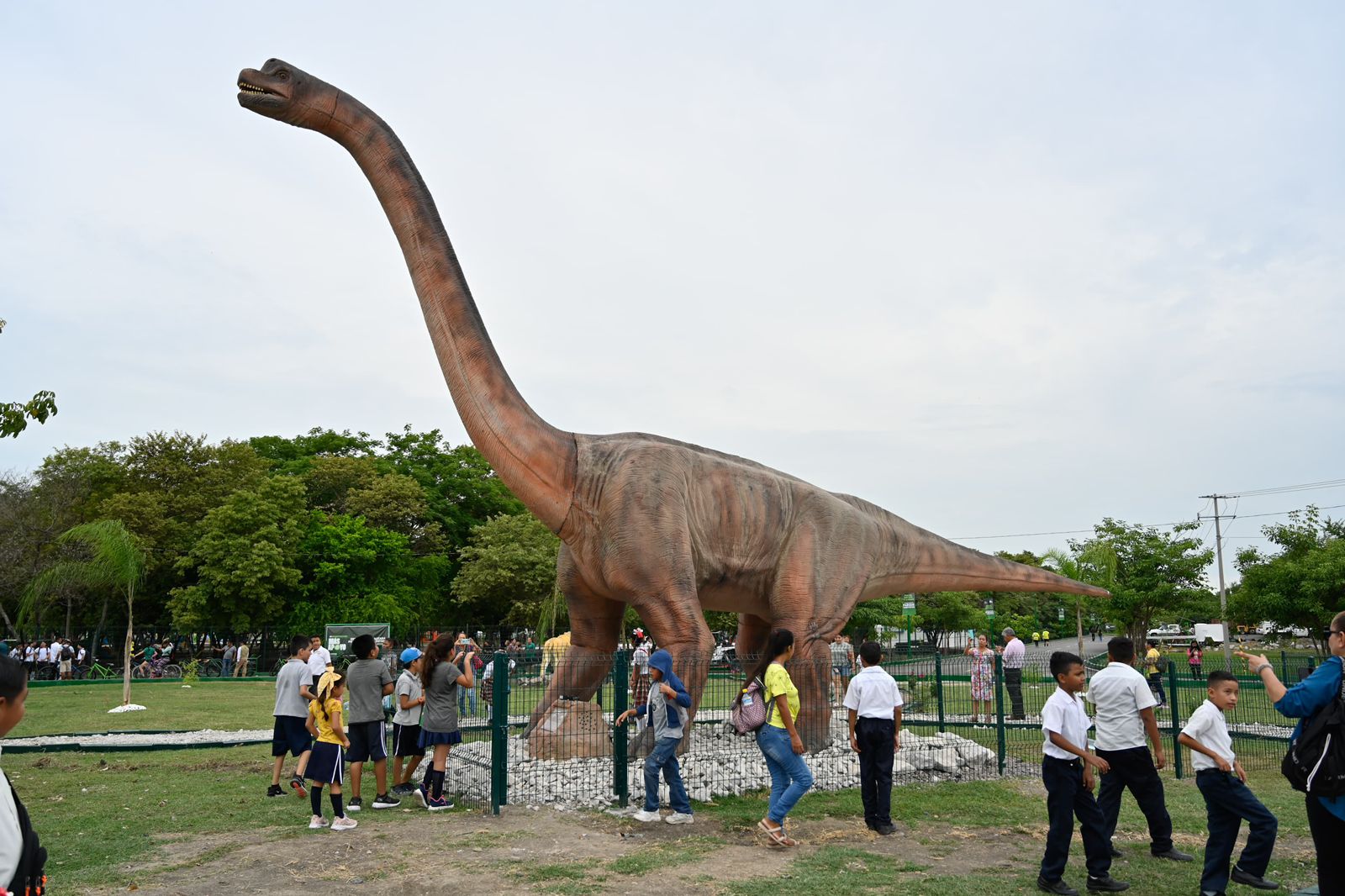 ¡Dinosaurios en Ciudad Valles! Ricardo Gallardo inaugura parque Tantocob en la Huasteca