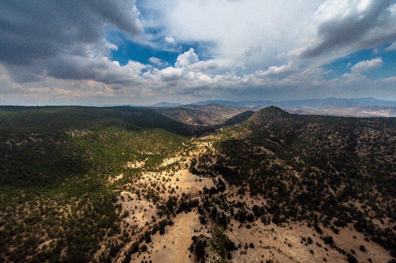 Foto: Archivo EL UNIVERSAL