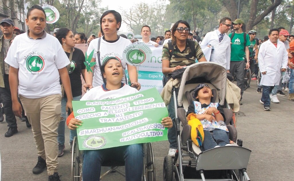 Van por permitir marihuana para cualquier uso