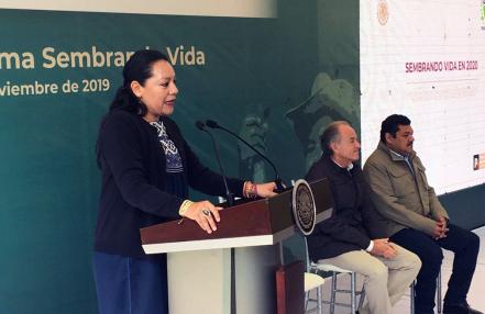 "Sembrando Vida" reforestará la Huasteca y Sierra de San Miguelito