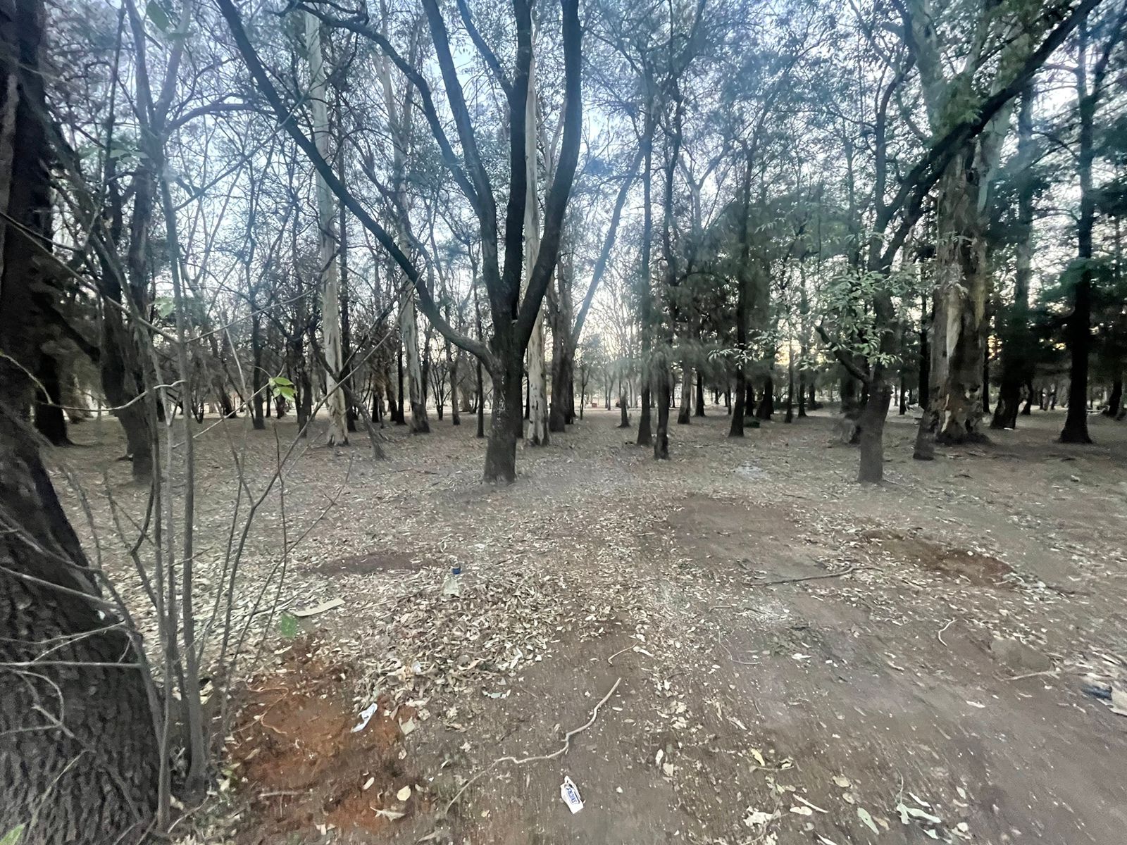 Foto: Nancy Lizet Hernández