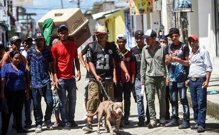 "Bolillo", el perro que viaja con la Caravana Migrante; en Honduras se llamaba "La Fiera"