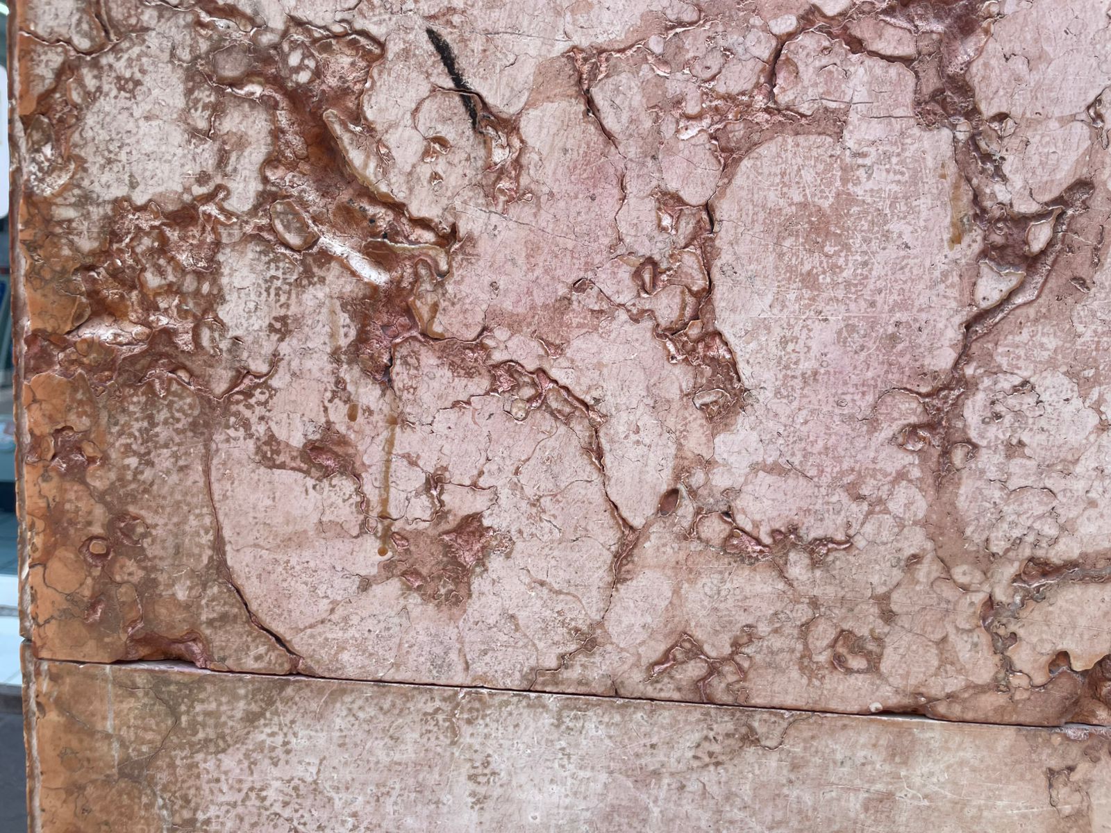 Foto: Humberto Torres EL UNIVERSAL