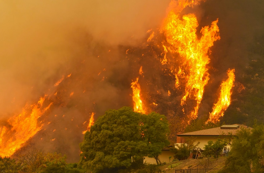 SLP cerró el año con 56 incendios forestales: CONAFOR