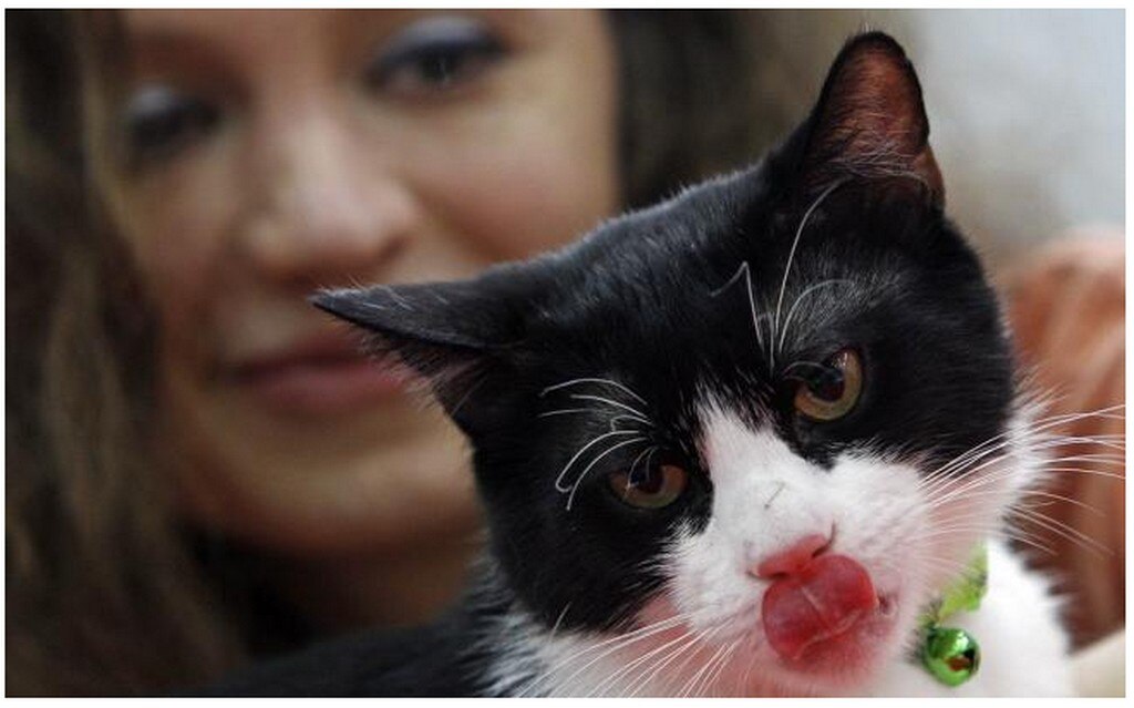 Foto: Archivo. EL UNIVERSAL