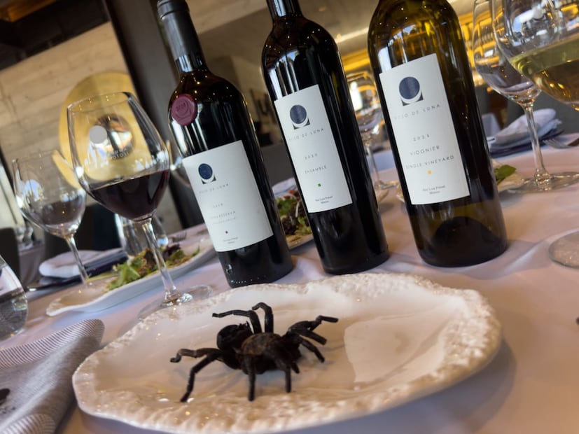 Tacos de insectos en el viñedo Pozo de Luna en Soledad, SLP.