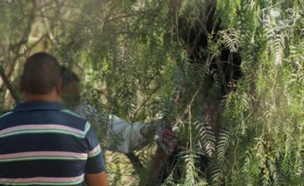 Encuentran a mujer sin vida, podría tratarse de otro feminicidio en SGS