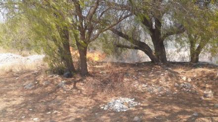 Sofocan Bomberos de SLP incendio en pastizal del deportivo Industrial Minera México