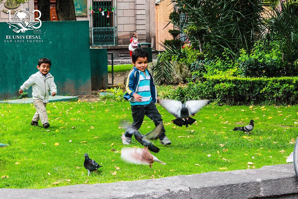 En noviembre, DIF Municipal atiende a más de 10 mil niños y niñas 