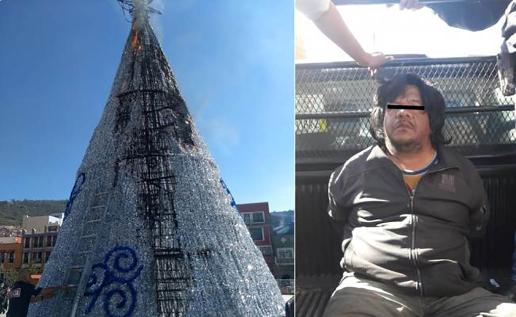 De acuerdo a los testigos, en segundos el árbol comenzó a incendiarse y a sacar una columna de humo (Fotos: Especiales)