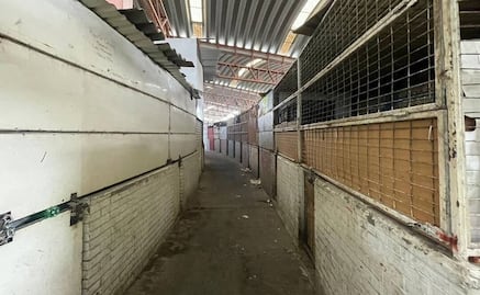 Persisten fallas en el mercado San Luis 400; Ayuntamiento de la capital abierto a asumir su control 