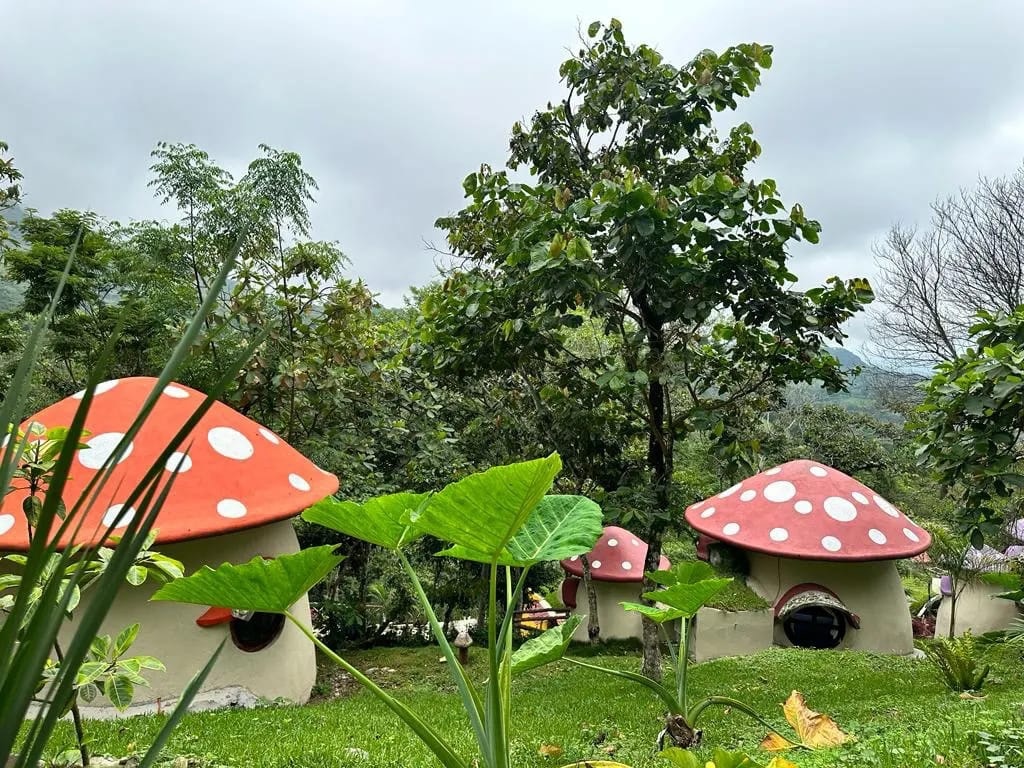 Hoteles temáticos para pasar Semana Santa en SLP