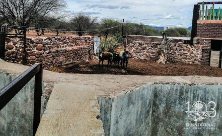 En riesgo, 130 años de tradición taurina
