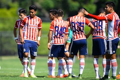 ¡Las Chivas buscan talento potosino! Realizarán visorias gratuitas en la capital