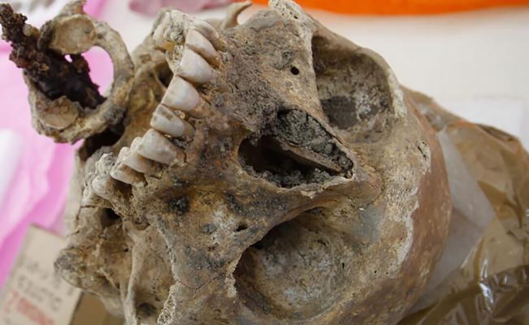 Foto: Archivo. El Universal.