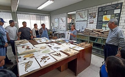 Un tesoro botánico en San Luis, así es el archivo verde de la UASLP con más de 70 mil ejemplares