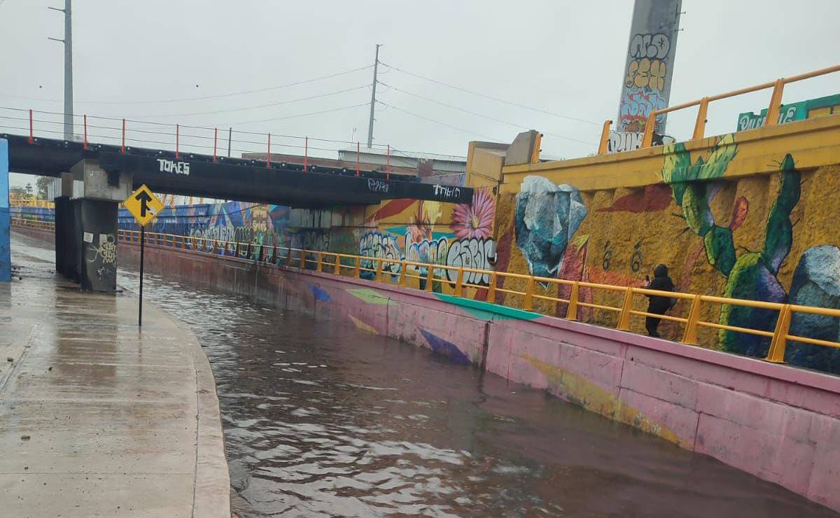 Inundaciones y árboles caídos, esto es lo que ha provocado Alberto a su paso por SLP
