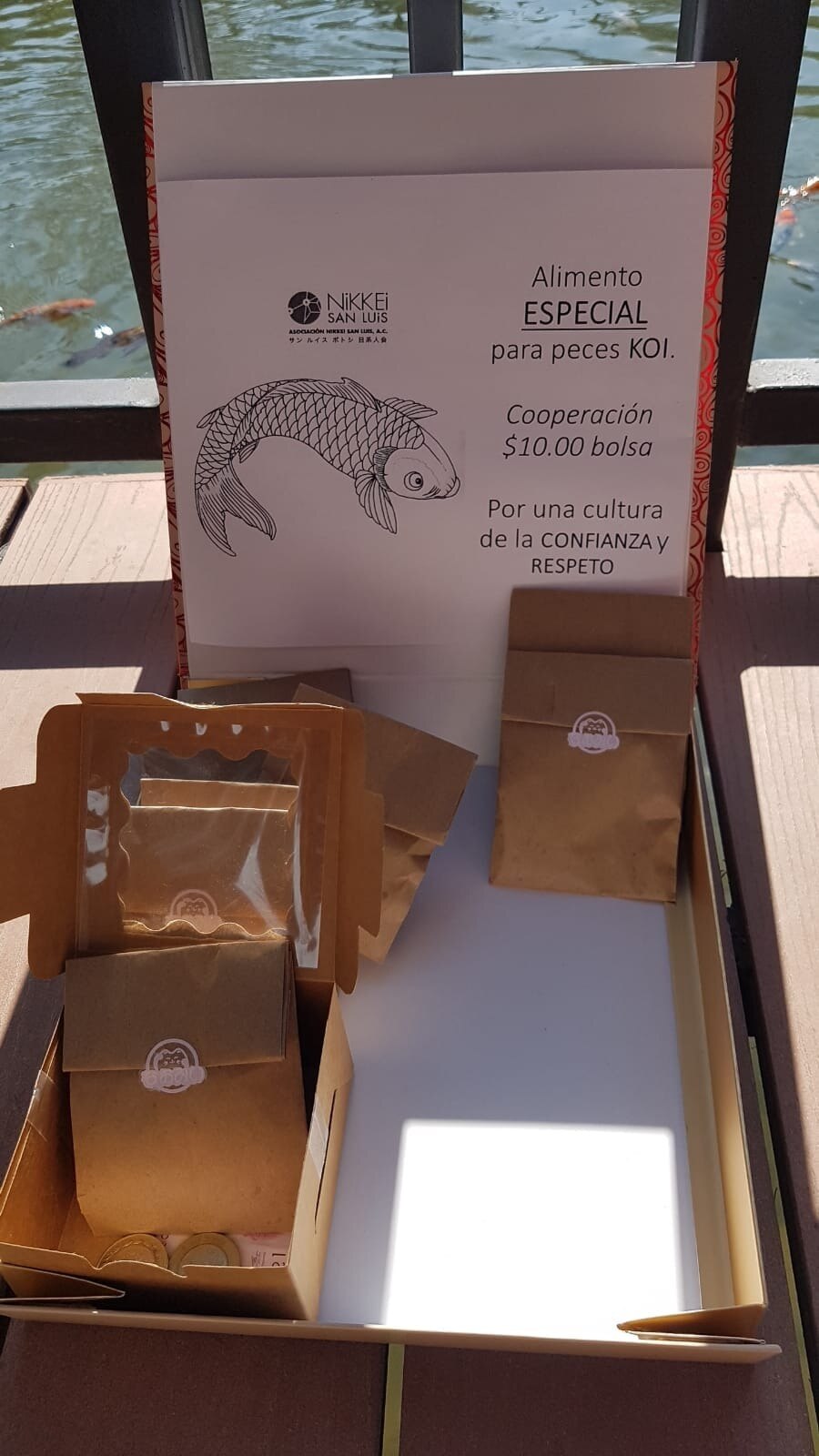 Peces koi del Jardín Japonés de SLP. Foto: Nikkei San Luis Potosí