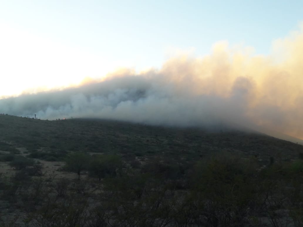 Más de mil hectáreas afectadas por incendios en este 2019: Conafor