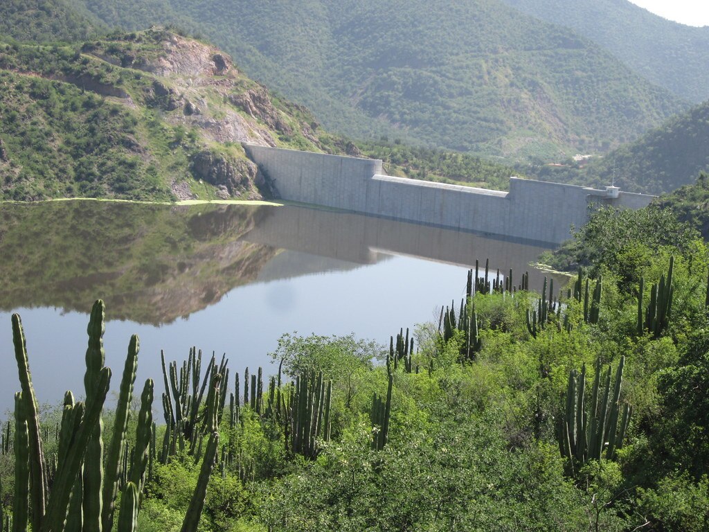 Foto: CEA Guanajuato
