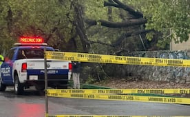 Lluvias dejan calles inundadas, árboles caídos y daños en municipios de San Luis Potosí
