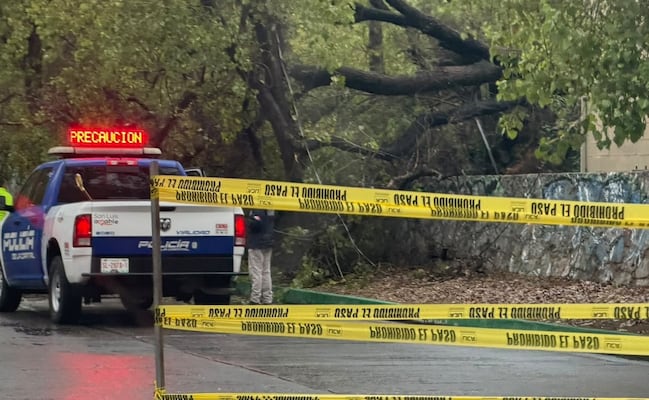 Lluvias dejan calles inundadas, árboles caídos y daños en municipios de San Luis Potosí