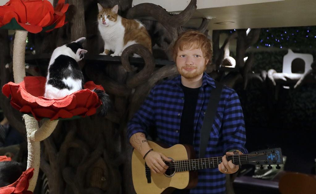 Ed Sheeran, el chico tímido que alcanzó el éxito
