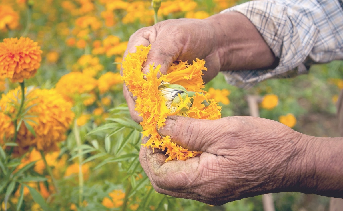 Foto: Archivo. EL UNIVERSAL