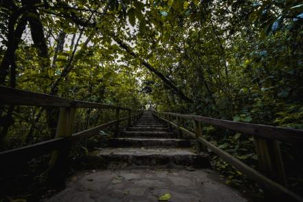 “Necesario preservar parajes turísticos en temporada vacacional”