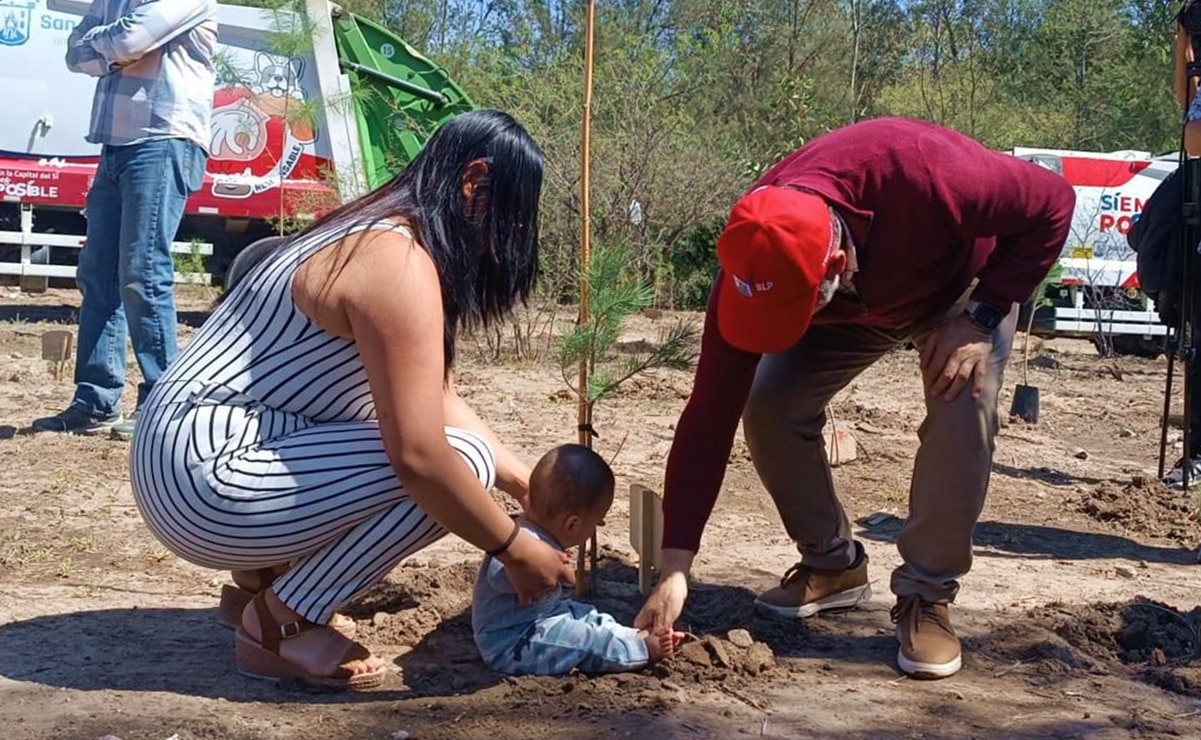 Bosque de la Vida, la iniciativa que ya alberga 700 árboles por bebés que han nacido en SLP