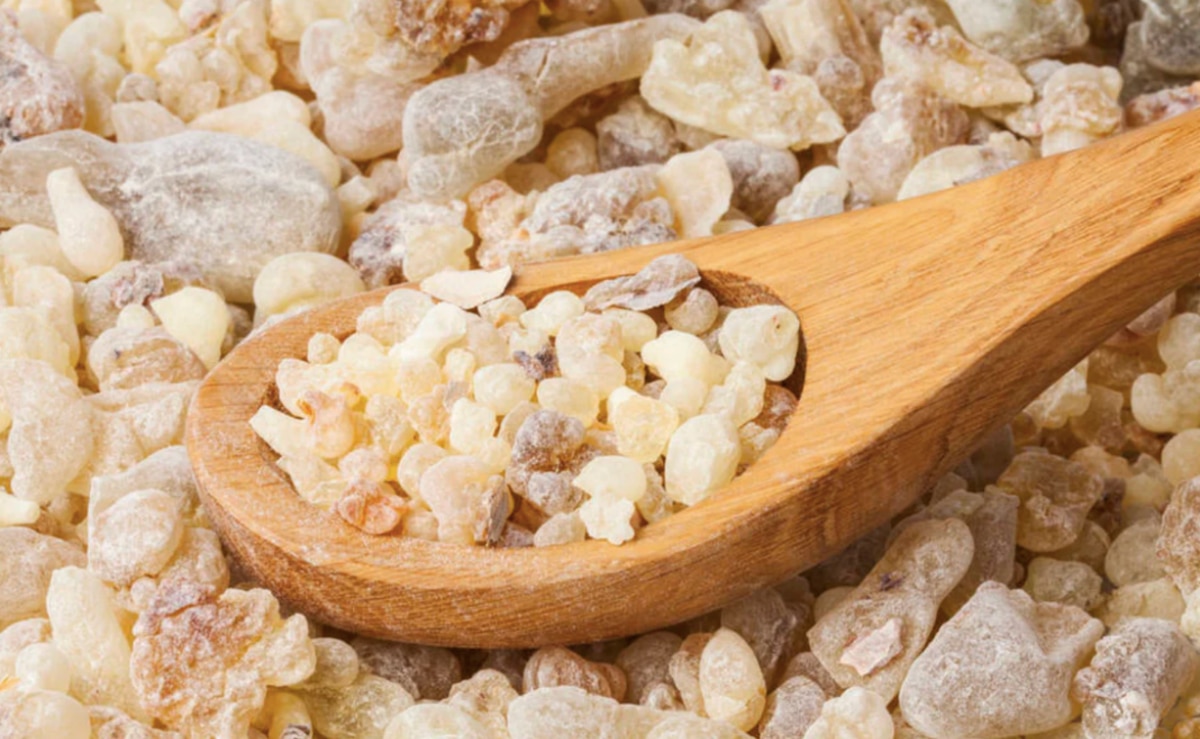 El copal aromatiza altares, guía almas y mantiene el legado ancestral del Día de Muertos. Foto: lamisericordia.com.