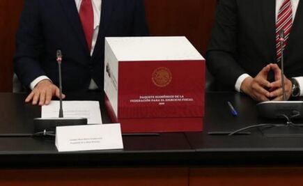  Presupuesto 2019 pone en riesgo programas de atención contra la violencia a mujeres