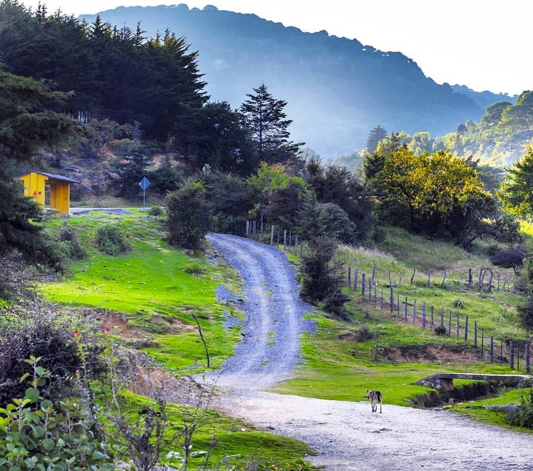 Foto: Yo Amo San Luis.