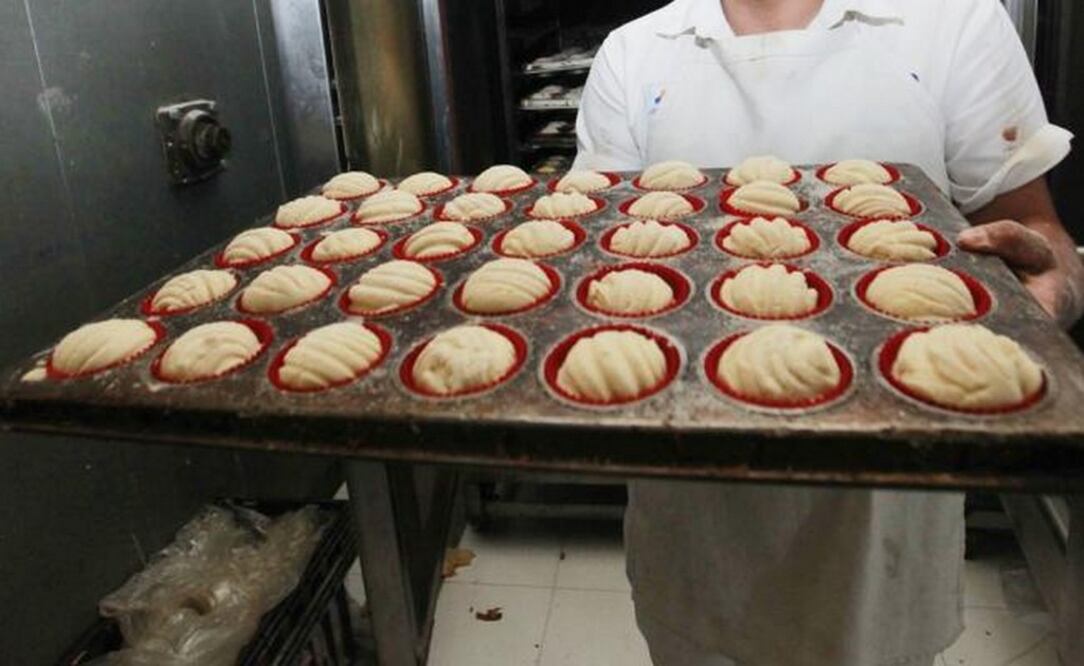 Manteconchas (Foto: Cesar Gómez)