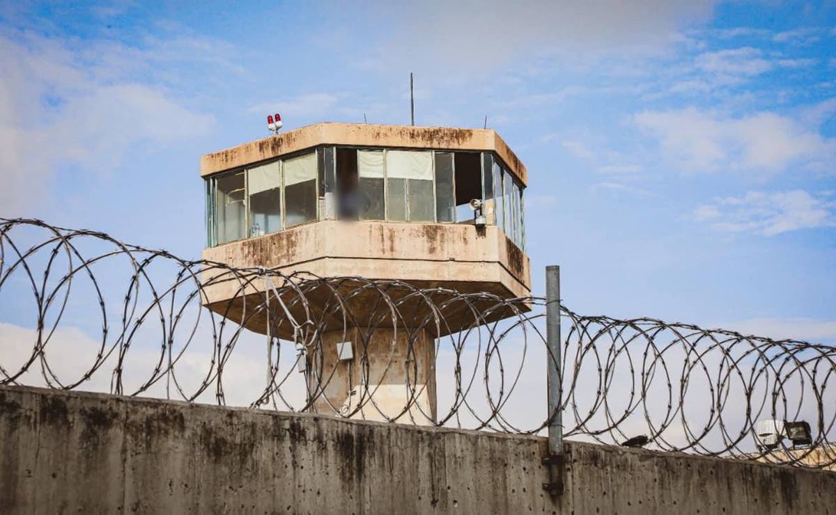 ¿Cómo están divididos lo más de 3 mil reos en penales de SLP? 