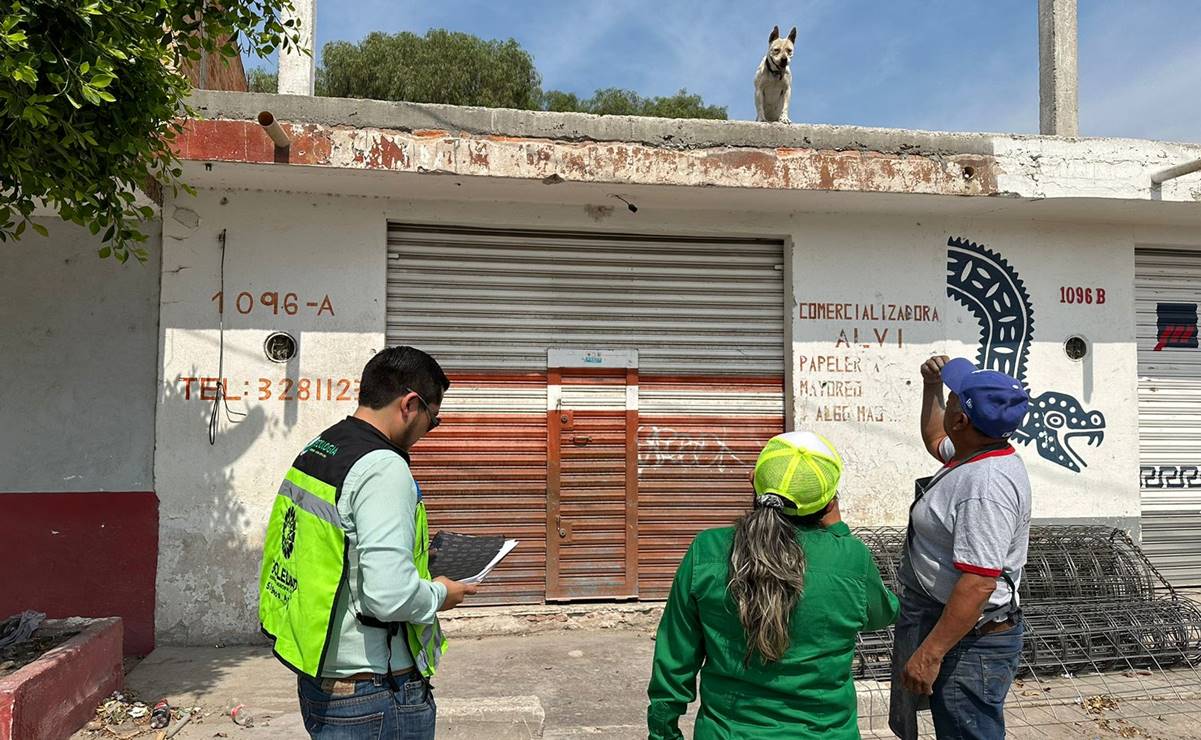 Por ola de calor, intensifican operativo en Soledad para identificar perritos en las azoteas. Foto: Archivo