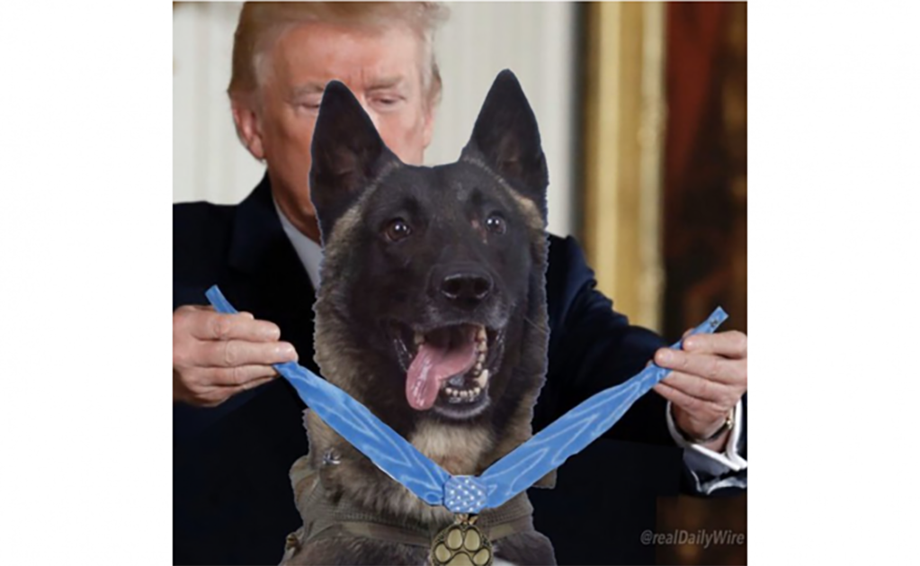Recibirá Trump a "Conan", el perro del operativo contra líder del Estado Islámico