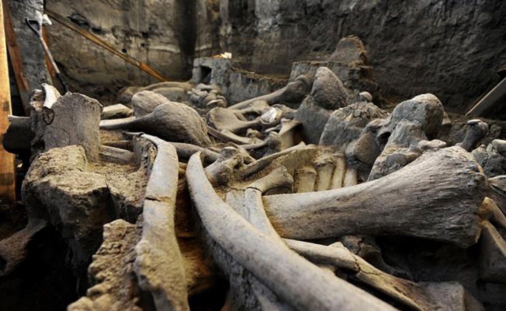 Estos huesos fueron descubiertos por un hombre que trabajaba en un campo en Dolni Disan, en Macedonia Central/ imagen referencial.(FOTO: Especial)