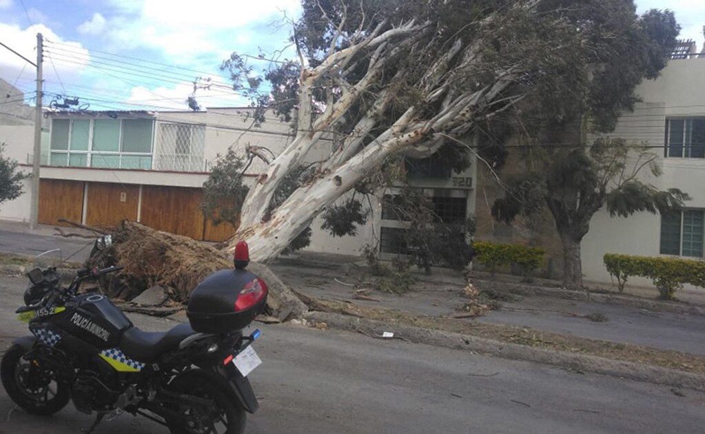 Liberan vialidades obstruidas por fuerte ráfagas de viento 
